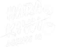 Conseil en communication et marketing digital, community management sur LinkedIn, création de contenu vidéo, articles de blog, référencement local avec la fiche Google et tracking server-side pour Harakiwi, à Courbevoie
